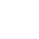 MVP Application Development