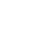 Software Development